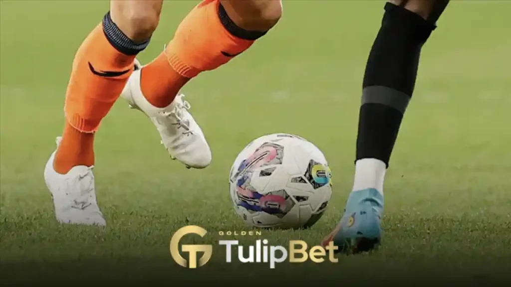 Tulipbet futbol bahisleri